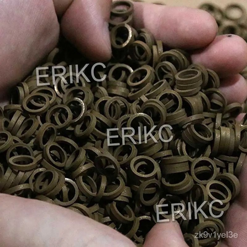 ERIKC 100 Sets F 00V C99 002 Common Rail Diesel Fuel Injector Valve ...