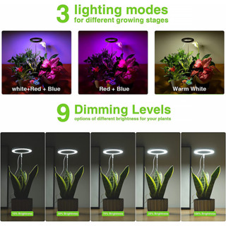 】LED Grow Light for Indoor Plants 48 LED Plant Grow Lights Height ...