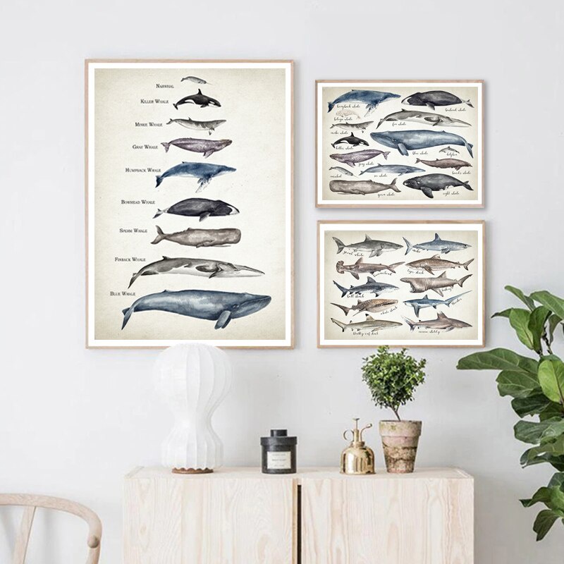 cfP Whales Size Comparison Chart Print Whale Watercolor Painting Child