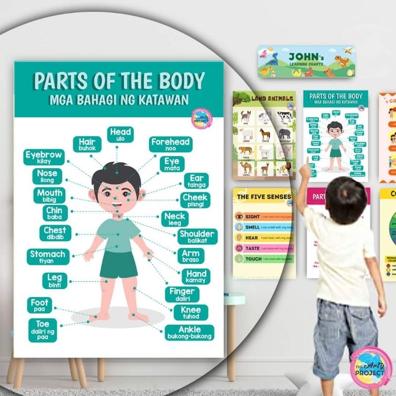 Parts Of The Body Boy Laminated Wall Chart A Body Parts Tagalog English Taglish Shopee