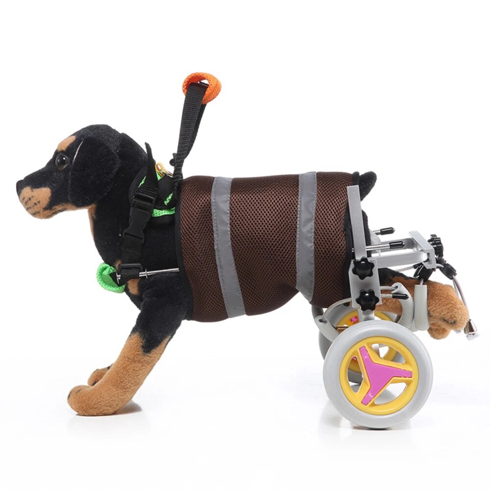 Disabled dog outlet products