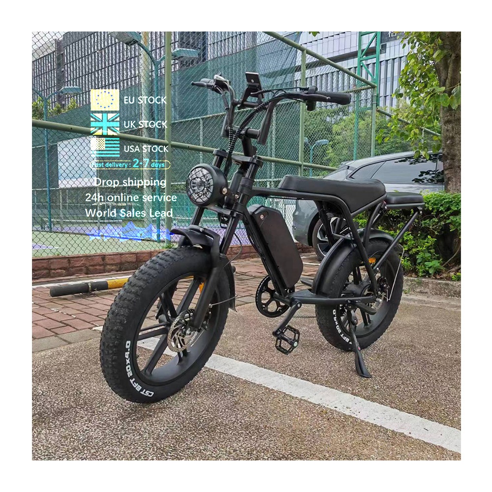 Double seater 250W/750W motor ebike Fatbike Mountain electric ...