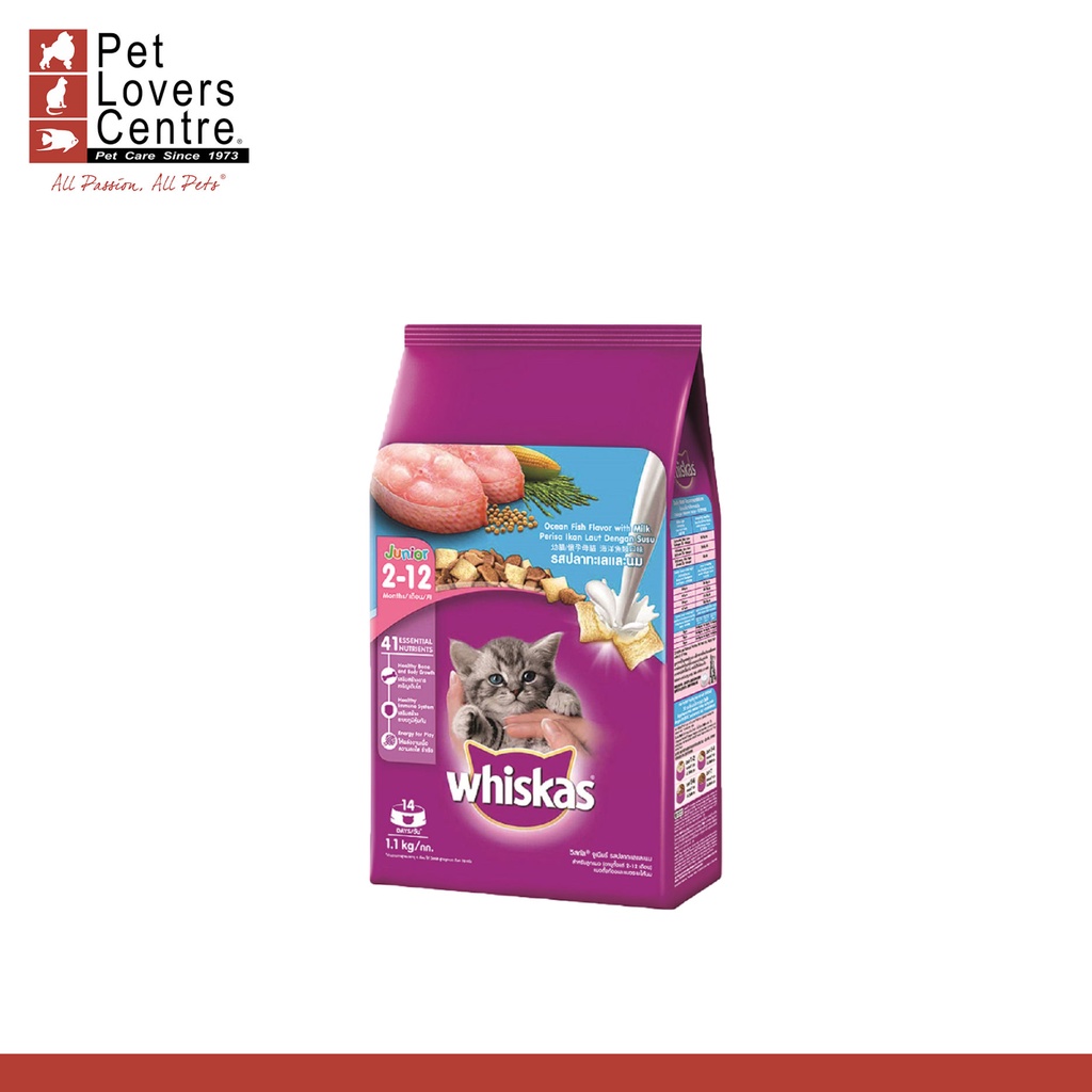 Whiskas Cat Dry Food Junior Ocean Fish with Milk 1.1kg (Expiration Date