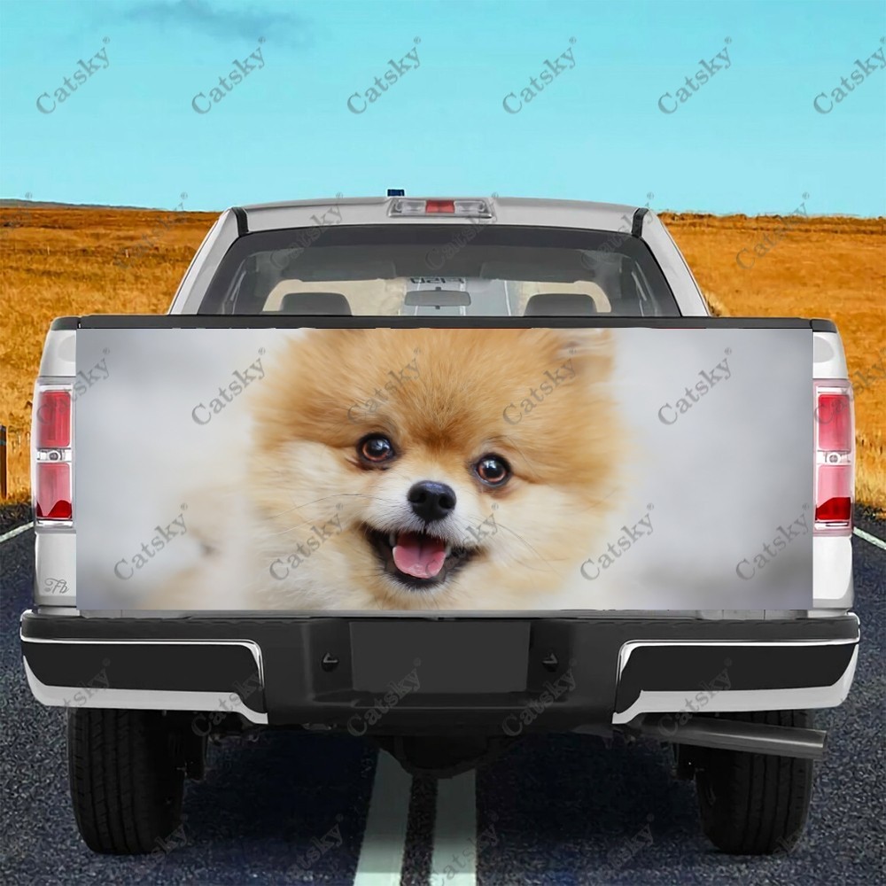 ☂Pomeranian Animal Car sticker truck tail vinyl wrap appearance