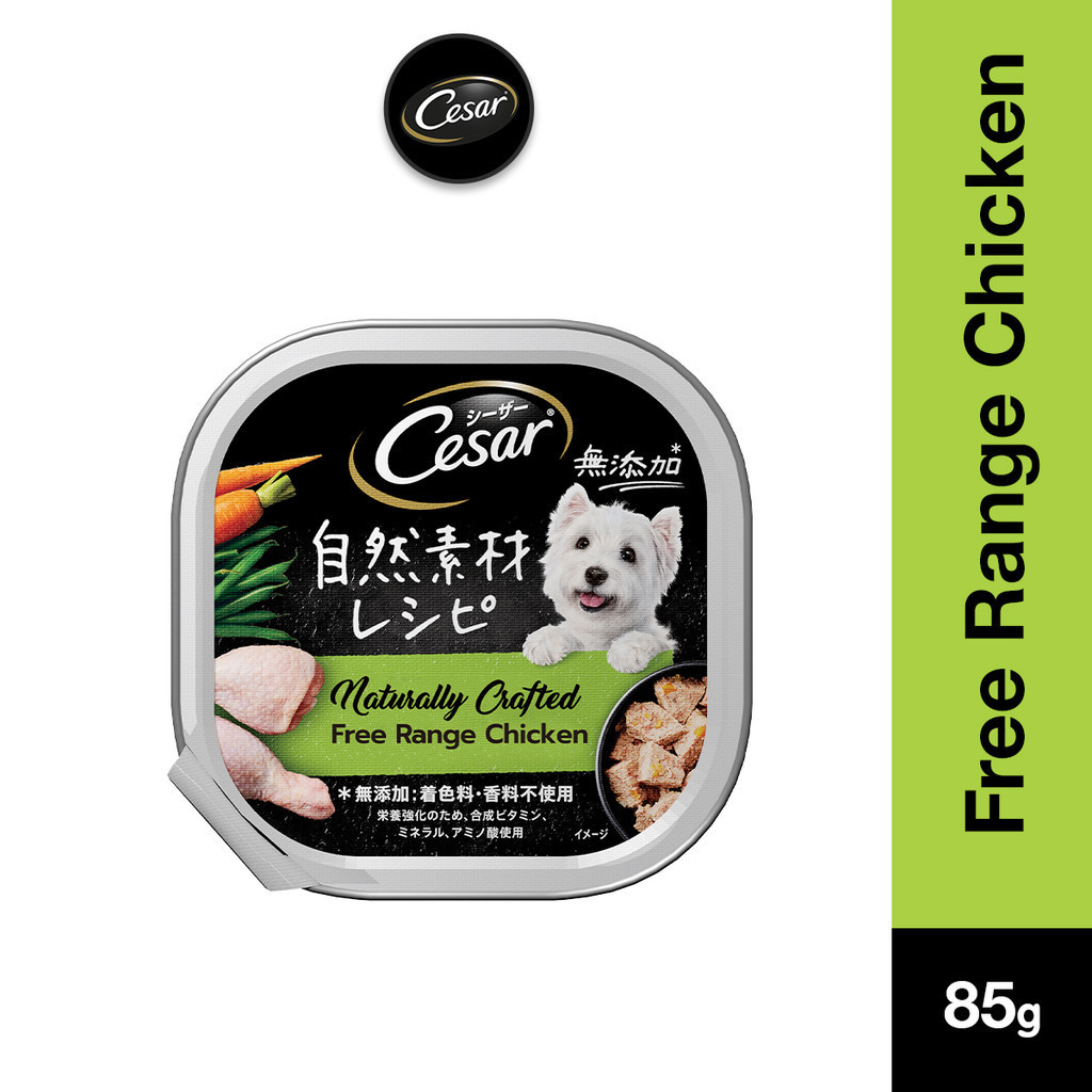 Free cesar dog food best sale