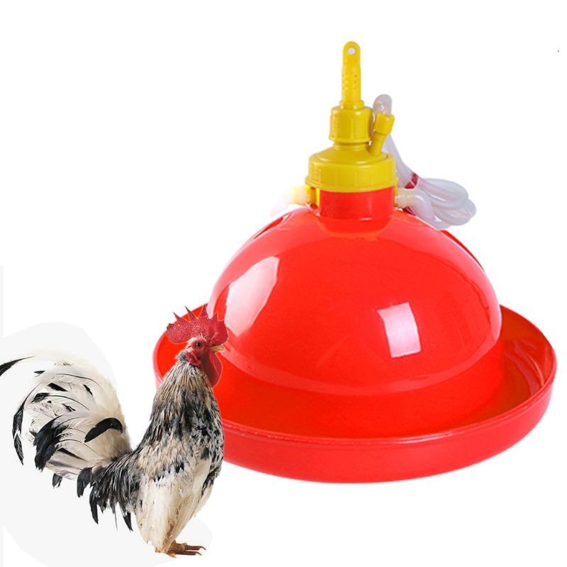 Automatic Chicken Drinking Fountain Device Round Hanging Cup Waterer ...