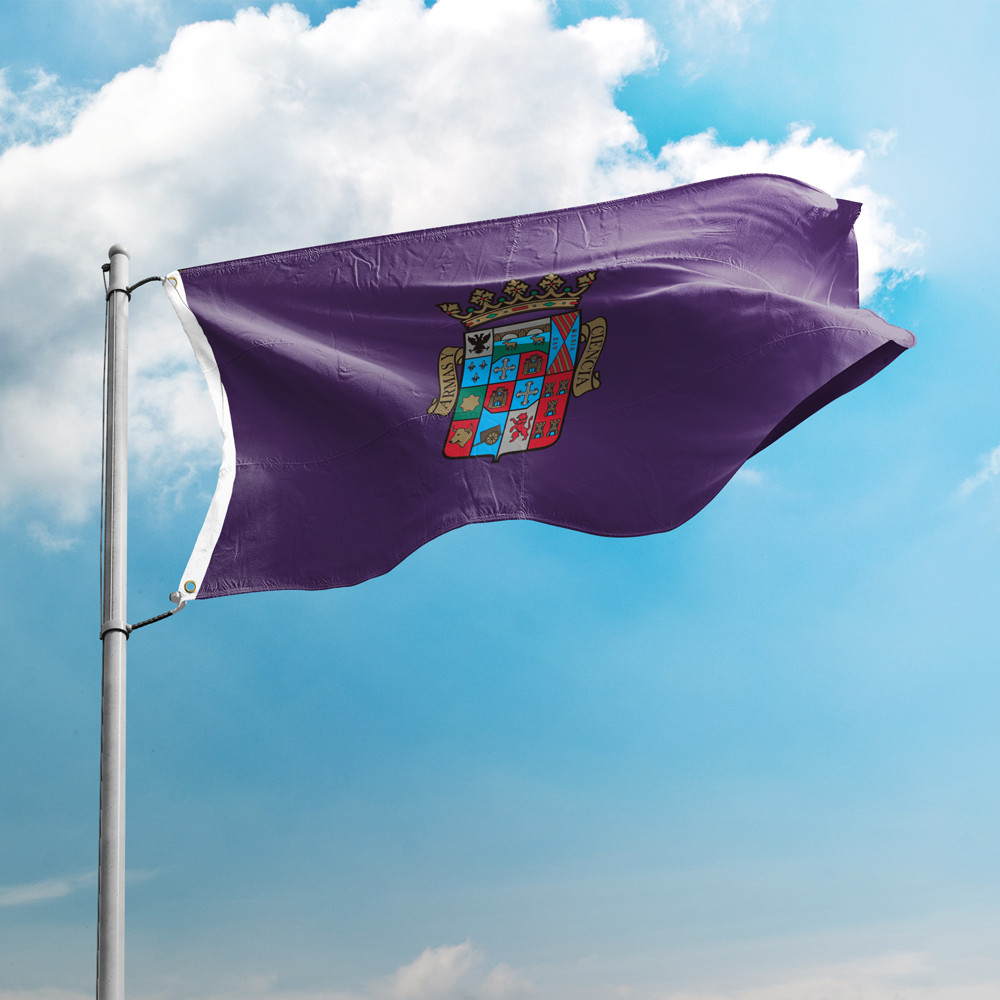 Flag of Palencia 3 x 5 FT 90 x 150 cm Spain Provincial Flags