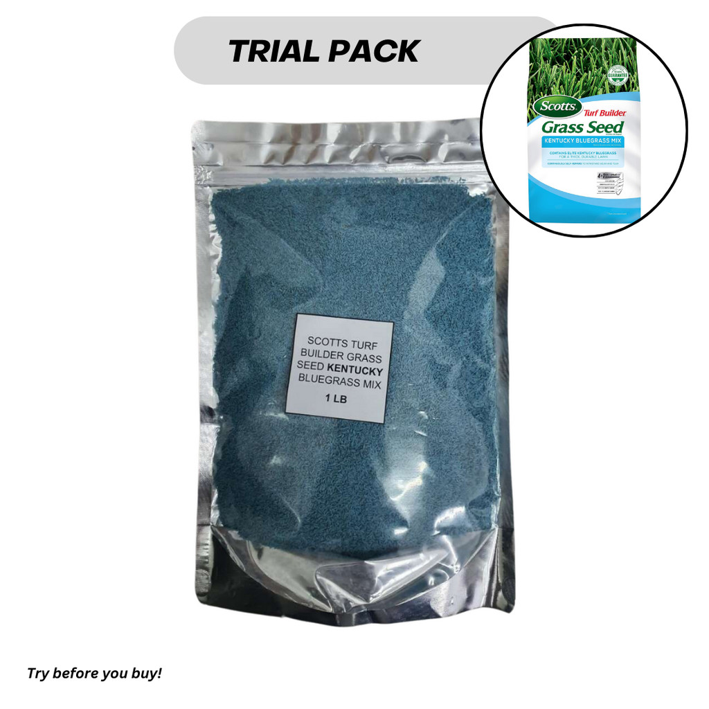 Trial Size Scotts Turf Builder Grass Seed Kentucky Bluegrass Mix 1lb
