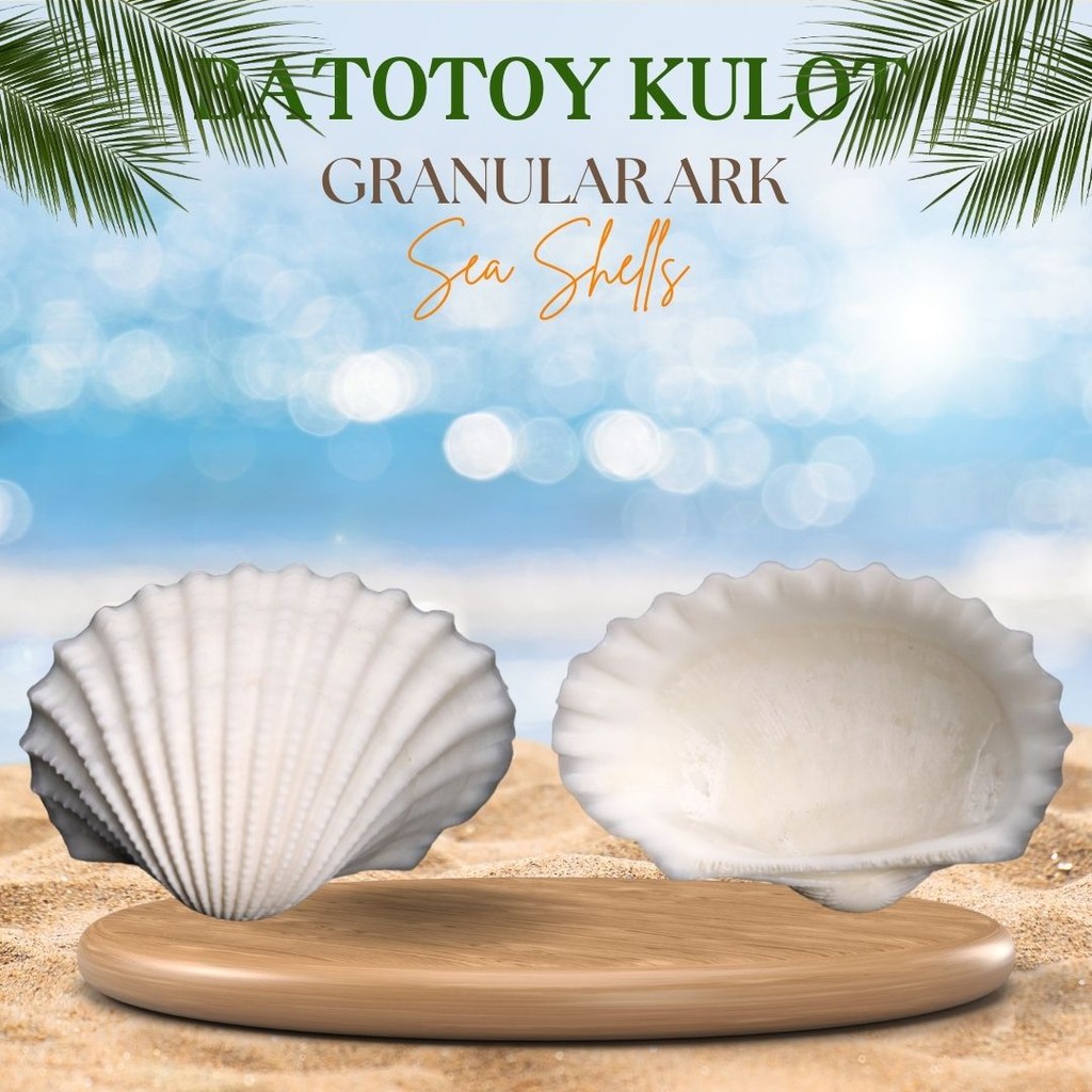 Shop kulot for Sale on Shopee Philippines