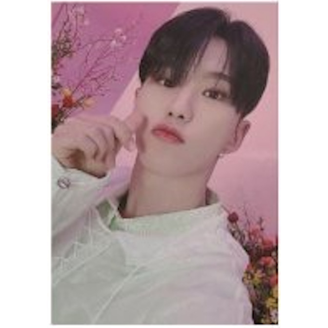 SEVENTEEN ALWAYS YOURS OFFICIAL SELFIE PHOTO CARD / S.COUPS