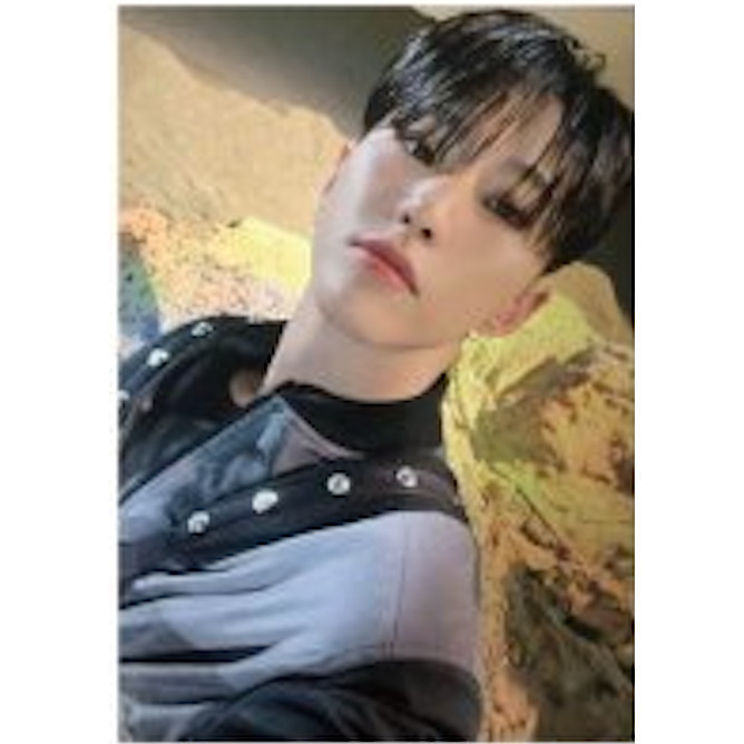 SEVENTEEN ALWAYS YOURS OFFICIAL SELFIE PHOTO CARD / S.COUPS