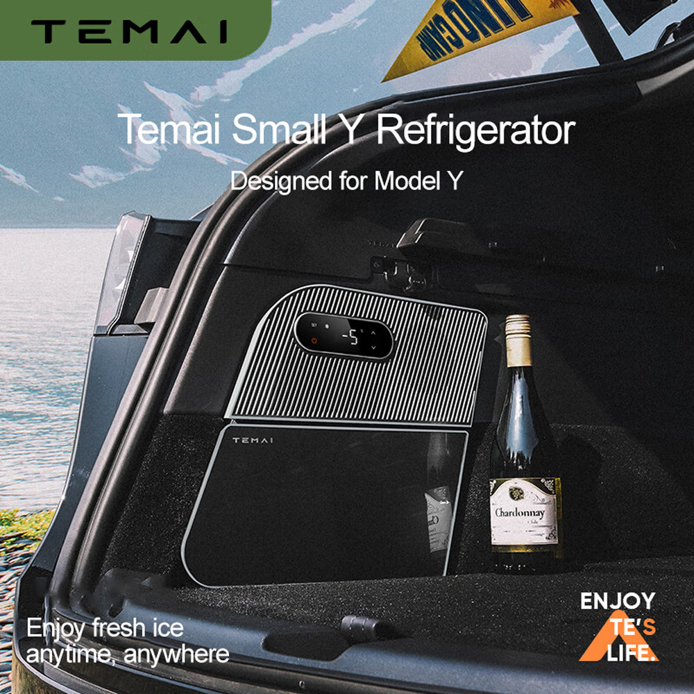 ☹New 15L for Tesla Model Y Mini Refrigerator Compressor Refrigeration ...