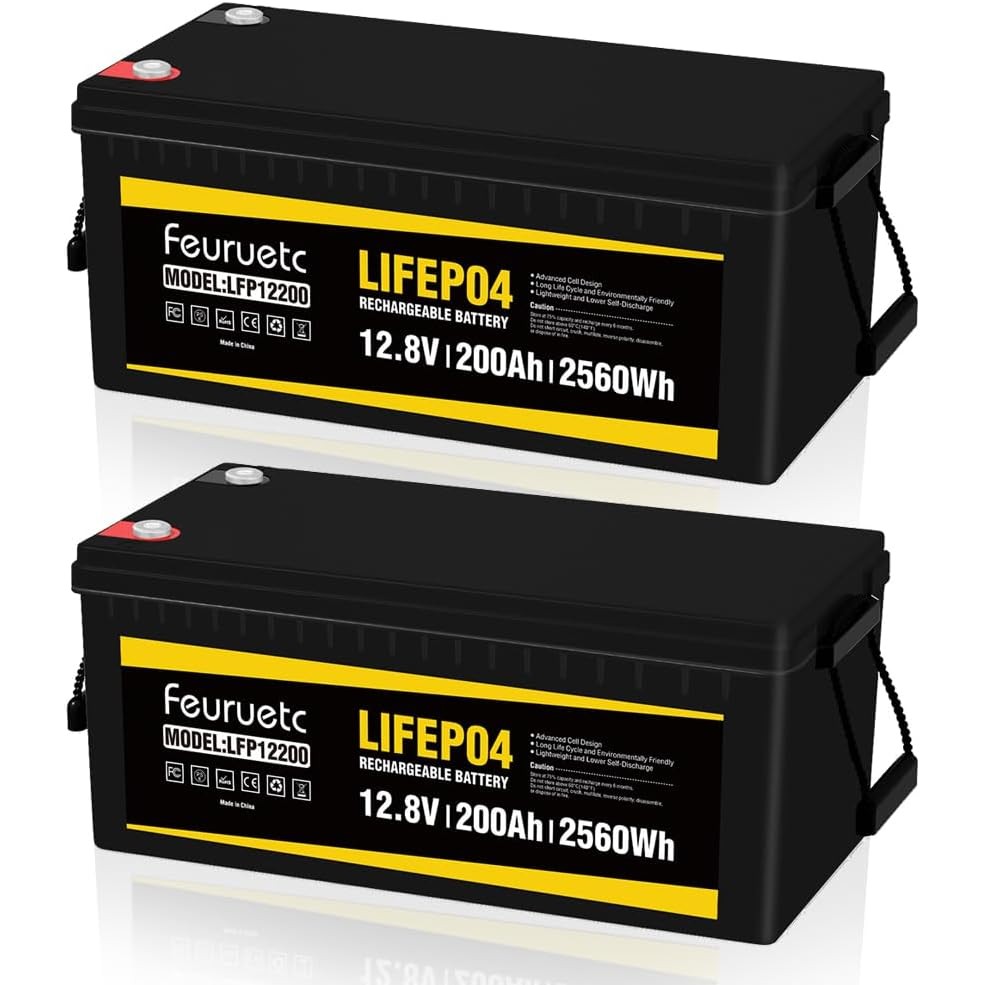 ๑2Pack 12V 200Ah Lithium LiFePO4 Battery Built-in 200A BMS 1280Wh ...