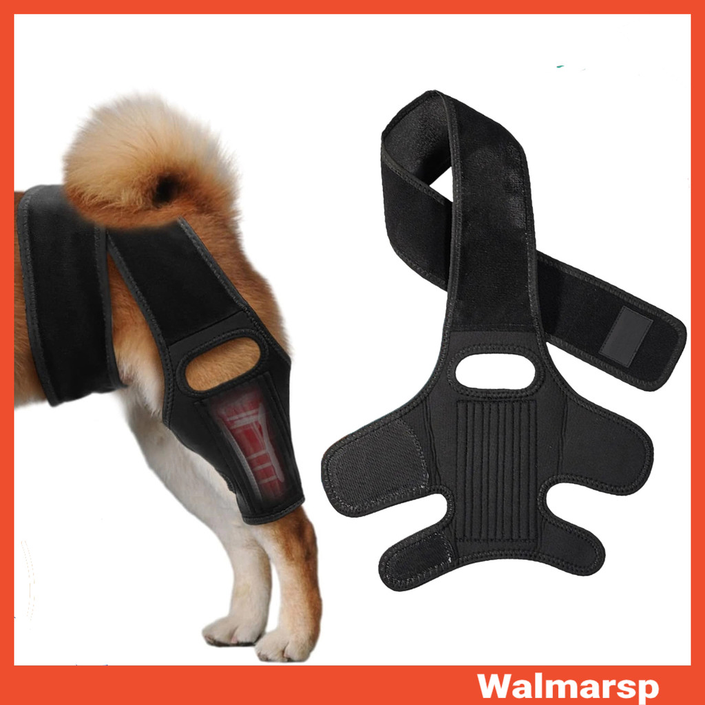 [WMP] Dog Leg Brace Dog Tendonitis Leg Support Adjustable Dog Acl Brace ...