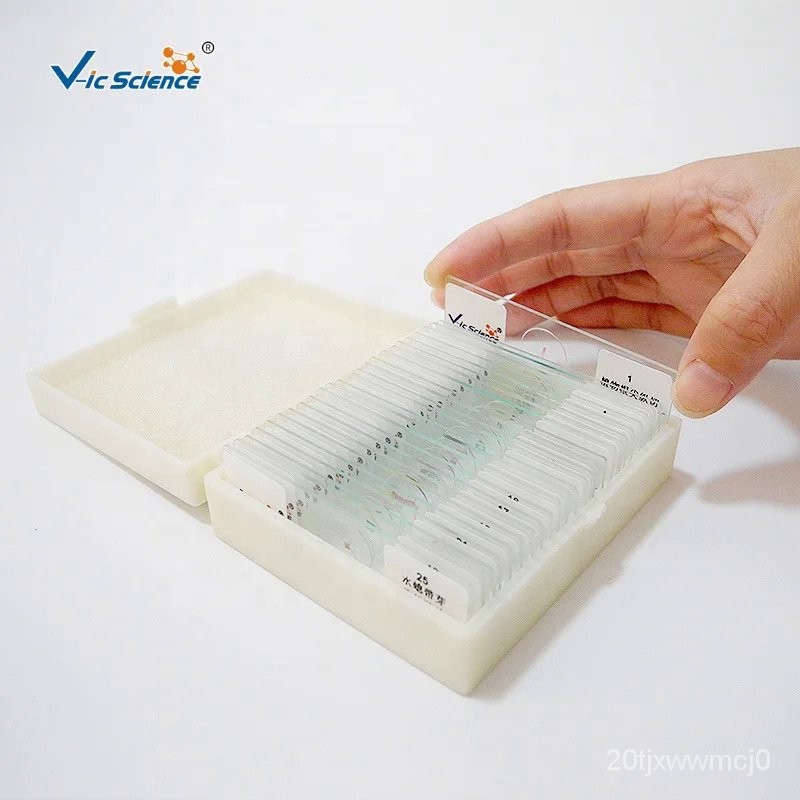 15 pieces prepared slides prepar biology microscope slide microscope ...