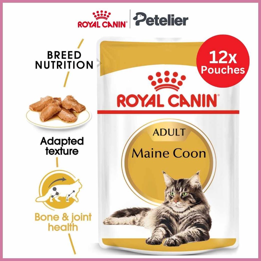 Royal~G/CaninTw*Maine^md/Coon$hd/Adult$rg/(85g$DV/x$oX/12$xg/Pouches ...