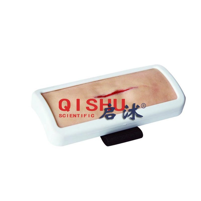 FSX2 Skin Suture Practice Suture Module Skin Module Human Body Suture ...