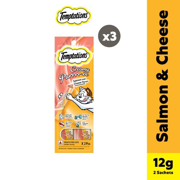 TEMPTATIONS Creamy Purrrr-ee 24g. Pack of 3 | Shopee Philippines