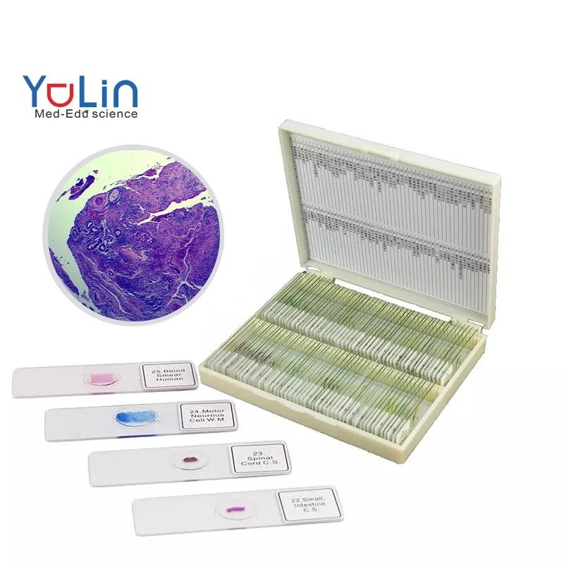 Medical Sciences Biology 100 Slides Human Histology Prepared Microscope ...