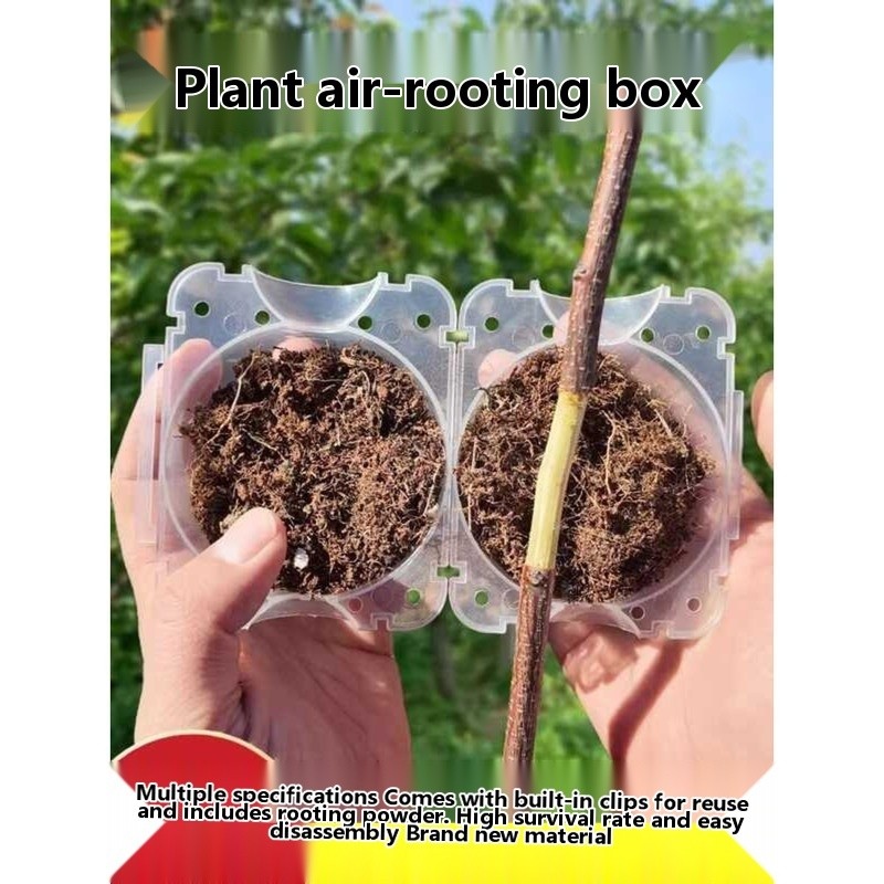 Plant High-Pressure Box Grafting Flower Fruit Tree Root Control Cutting ...