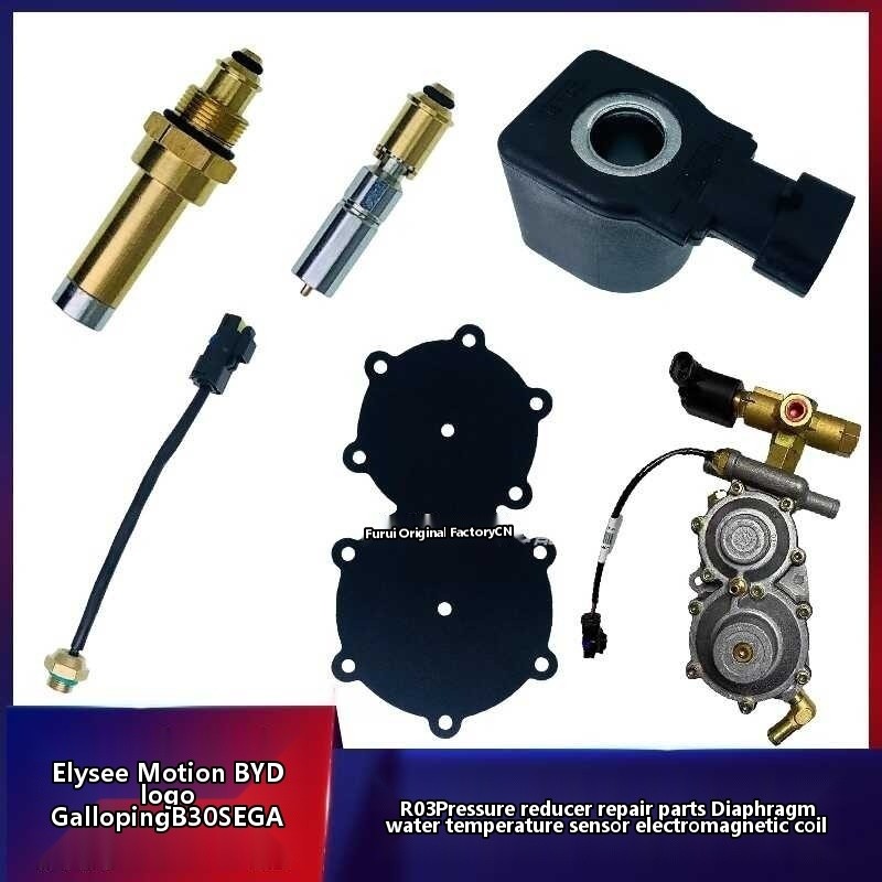 New Elysee, Envision, BYD, Bestune, etc. Pressure Reducer Sealing ...