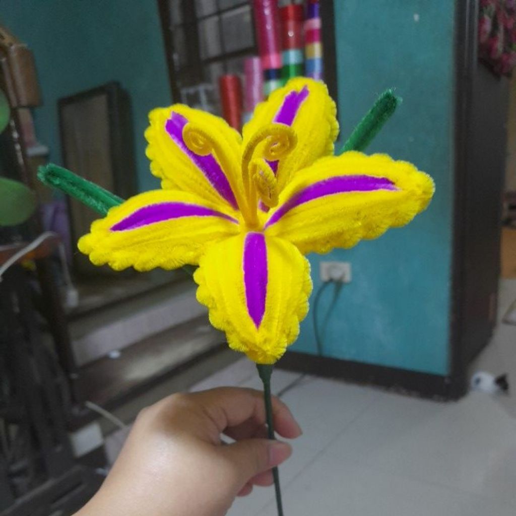 Shop sundrop flower for Sale on Shopee Philippines