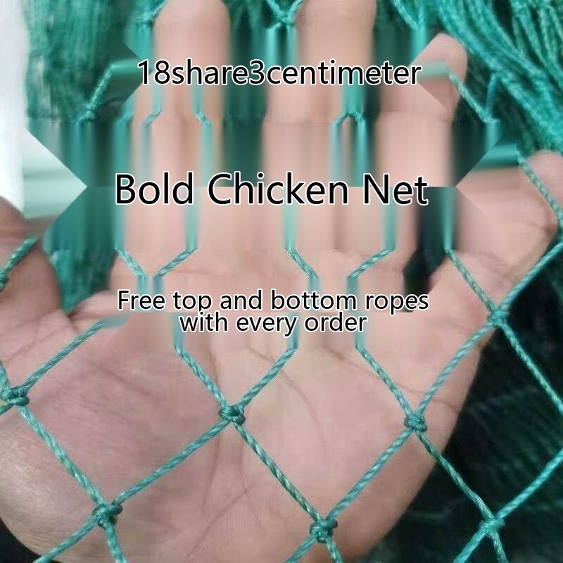 Poultry breeding mountain nylon sky wild chicken fence, protective net ...