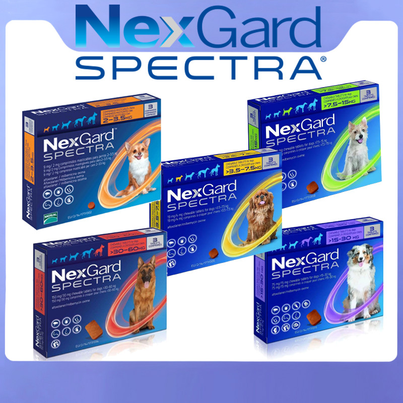 Nexgard Spectra Anti Tick & Flea Chewable for Puppies and Dogs 1 box ...