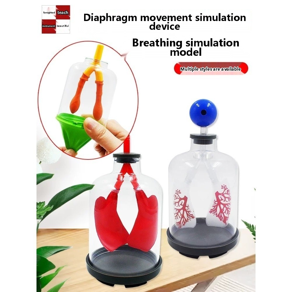 COD/Lung breathing model, diaphragm movement simulator, alveolar ...