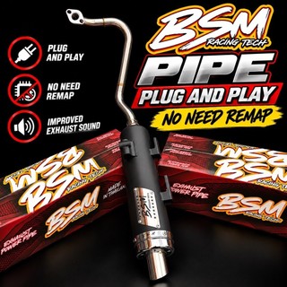BSM POWER PIPE BLUE AND SILVER TIP. PLUG AND PLAY NO NEED REMAP ...