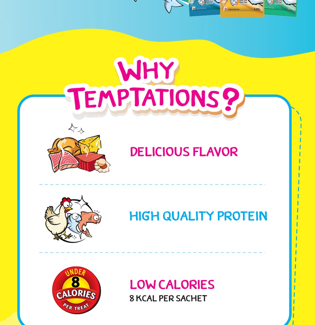 TEMPTATIONS Creamy Purrrr-ee 24g. Pack of 3 | Shopee Philippines