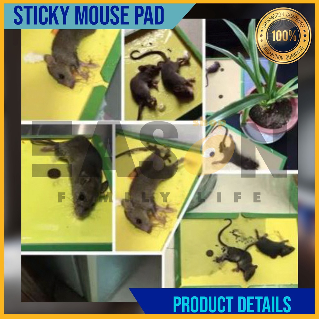 EasonShop COD Large Mouse rat Sticky Mice Rodent Glue Board Bait Trap ...
