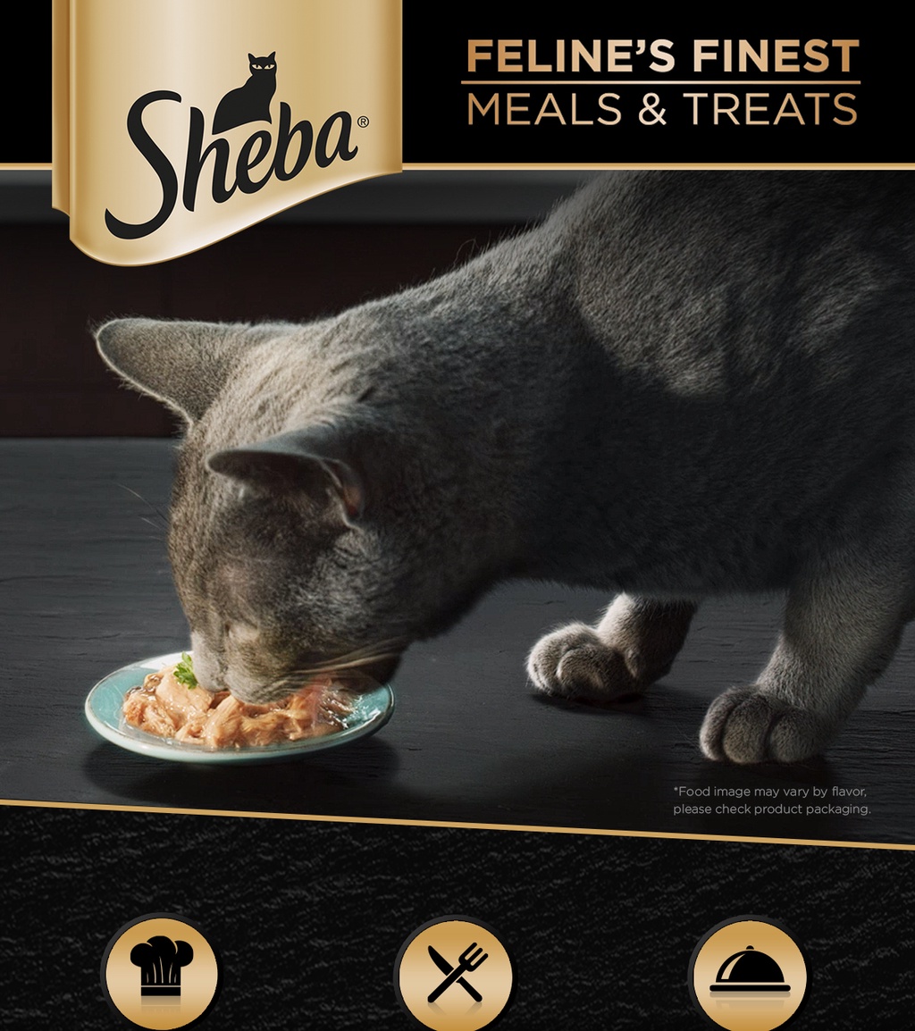 Sheba Cat Food Chicken Flavor Wet Food 70g Shopee Philippines