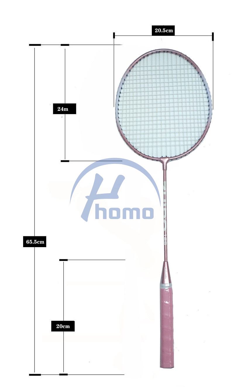 Badminton Racket Alloy Racket Fitness Sports Badminton Racket Set ...