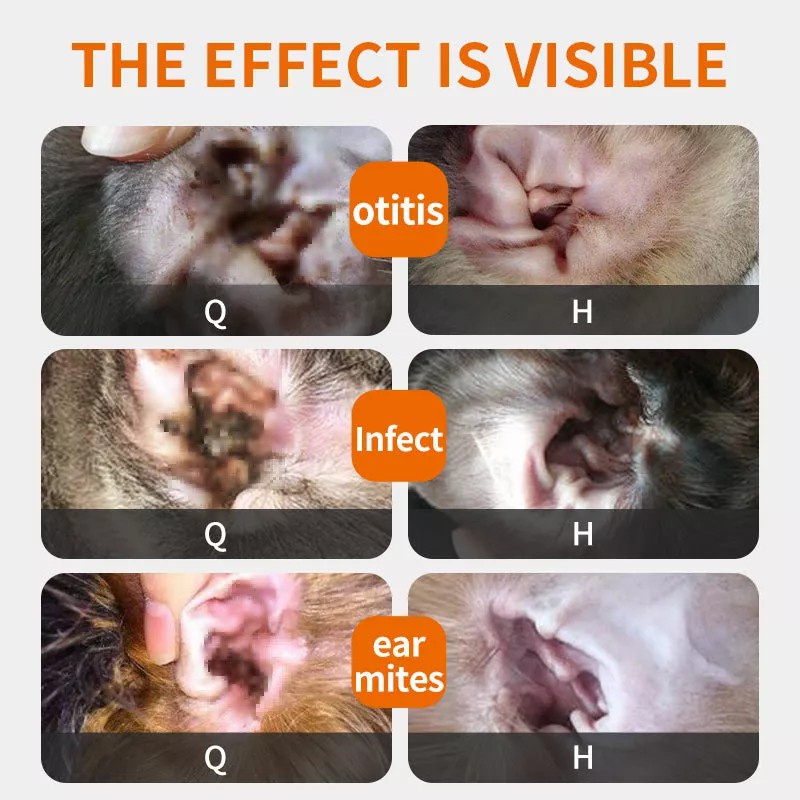 PUAINTA Pets Ear Drops for Dogs and Cat Ear Inflammation Ear Mites