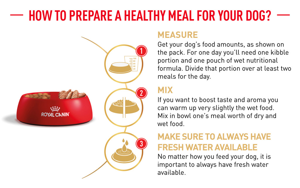 Royal Canin Shih Tzu Adult (85g x 36 pouches) Wet Dog Food Breed