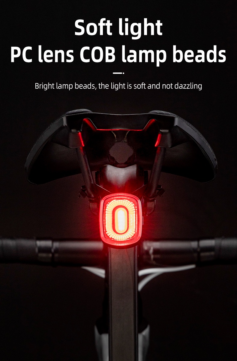 ROCKBROS Bike Tail Light - Anti-Lost Brake Sensing USB Rechargeable LED Safety Light For Night Riding