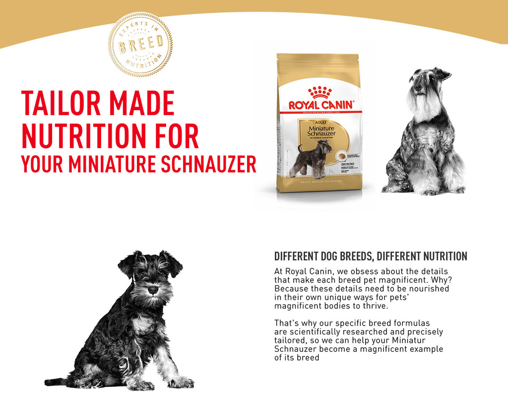 Royal Canin Miniature Schnauzer Adult (3kg) Dry Dog Food Breed Health
