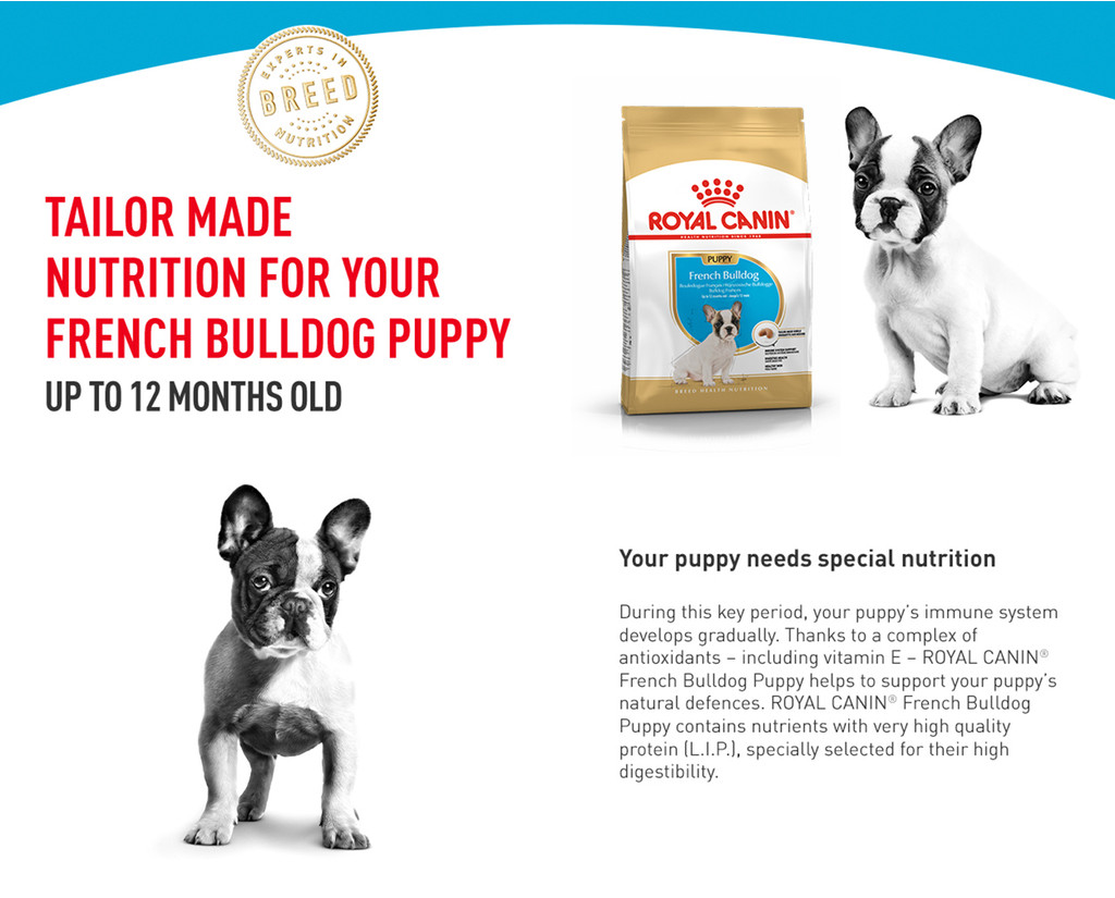 Royal Canin French Bulldog Puppy (3kg) Dry Dog Food Breed Health