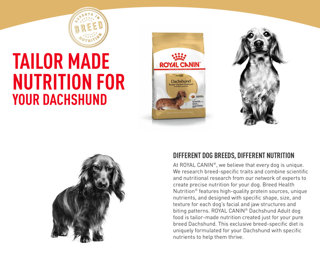 Royal Canin Dachshund Adult (500g x 2) Dry Dog Food Breed Health