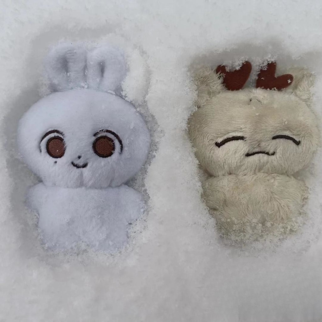 10cm Kpop Idol SEVENTEEN Doll JEONGHAN Glutinous Rice White Rabbit ...