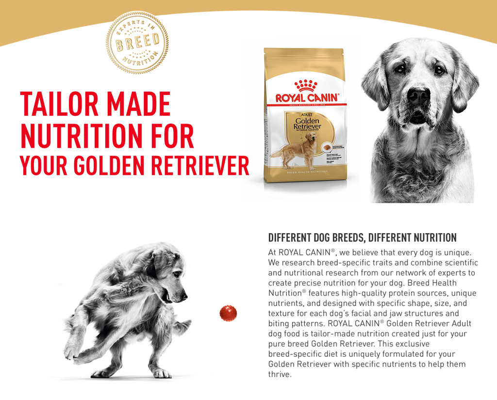 Royal Canin Golden Retriever Adult (3kg x 2) Dry Dog Food Breed