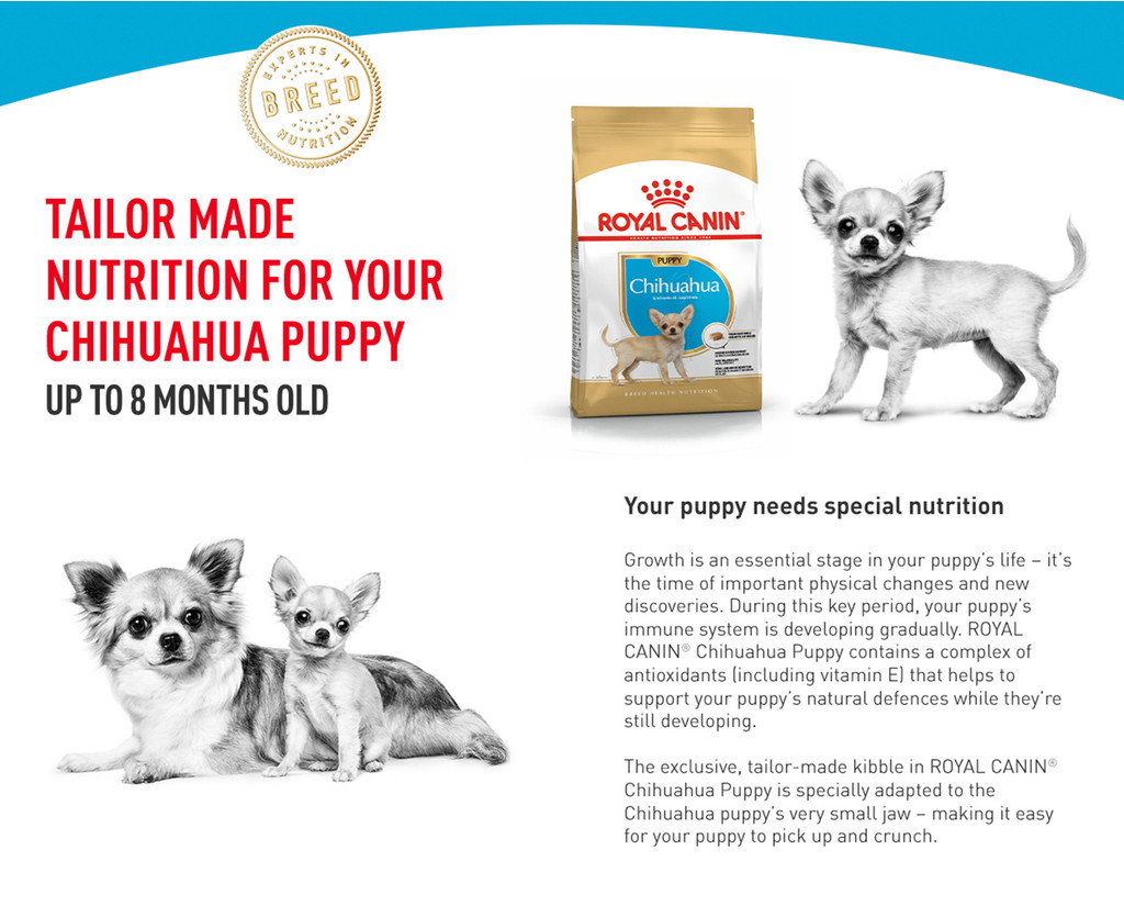 Royal canin chihuahua puppy sales