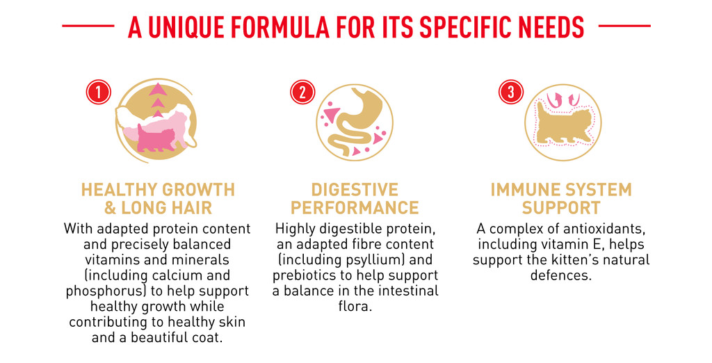 Royal Canin Persian Kitten (10kg) Dry Cat Food Feline Breed Nutrition