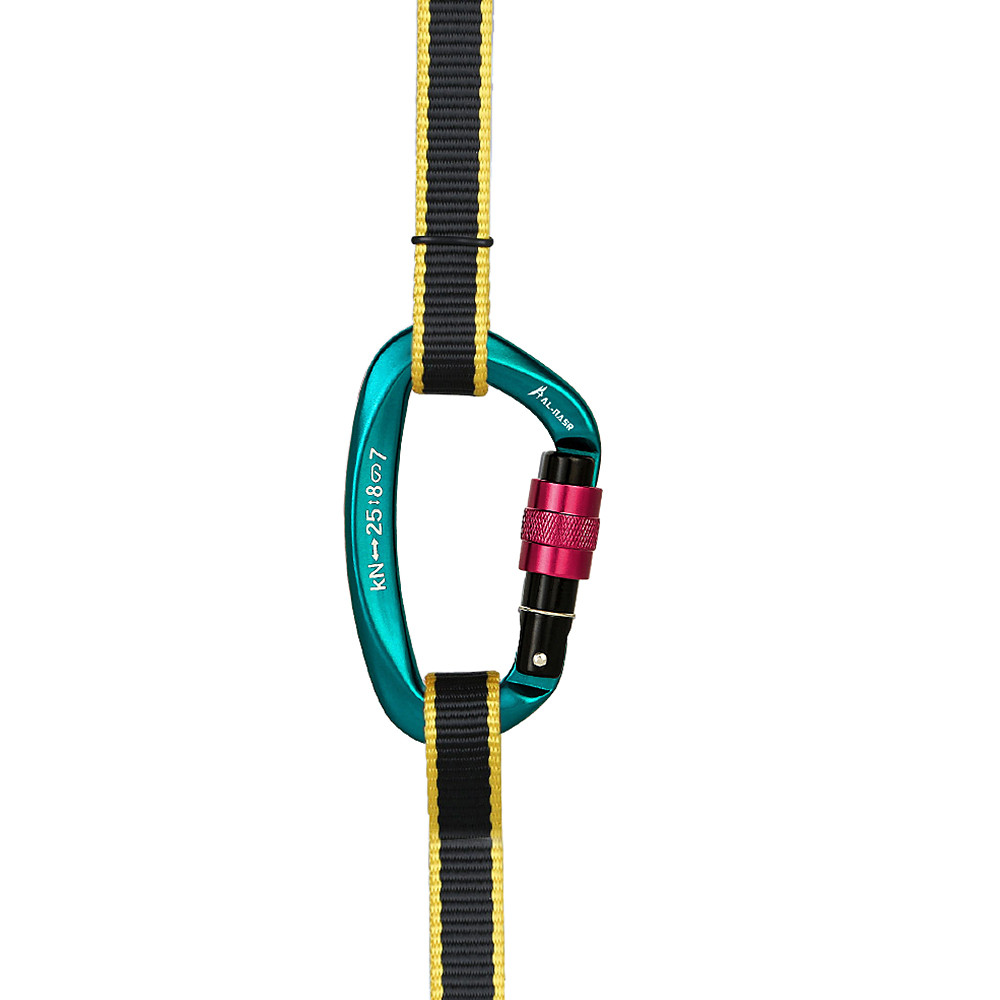 LIFE 25KN Professional Climbing Carabiner Screw Locking Gate Carabiner ...
