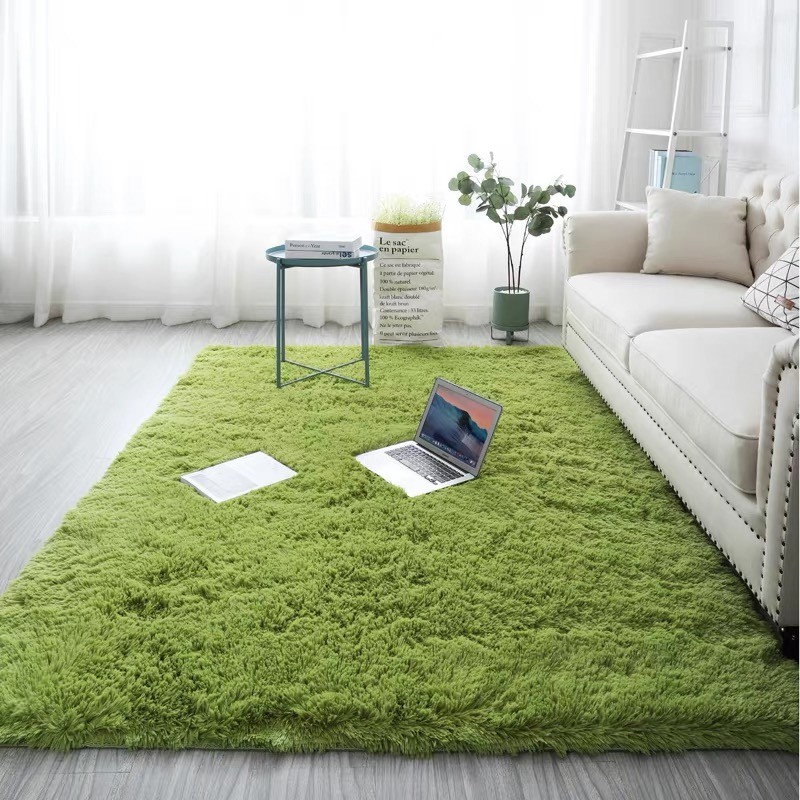 MOIZY non-slip soft lint-free rug carpet living room fur carpet carpet ...