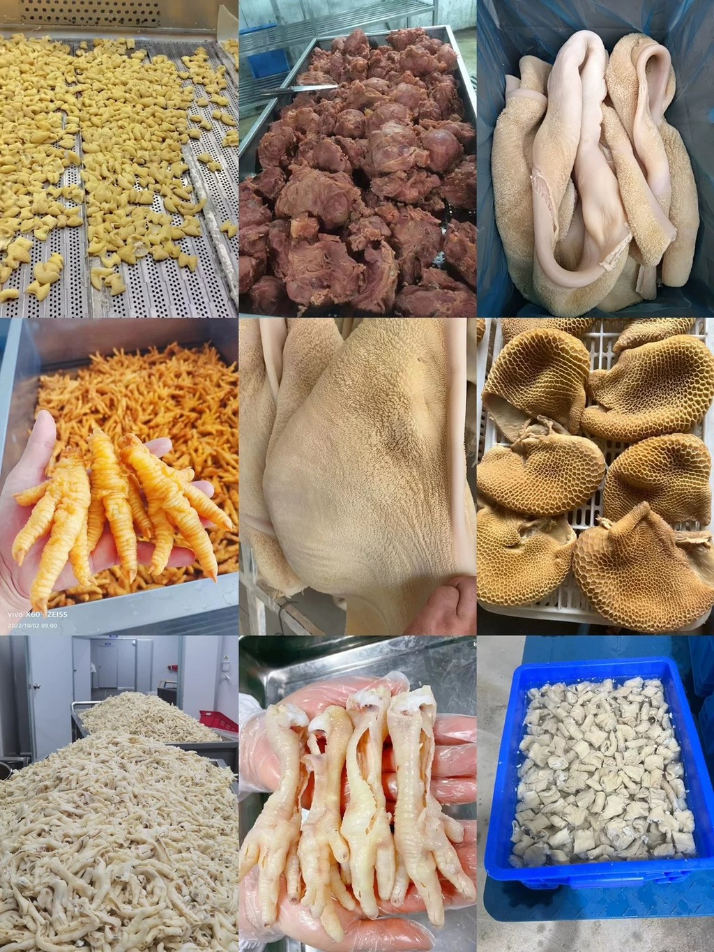 COD/ Pig stomach, beef stomach, sheep stomach, pig intestines, and ...