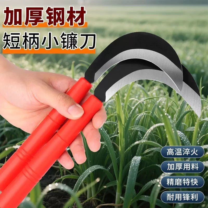 Hot⭐ Mini stainless steel chive-cutting knife, sharp small sickle for ...