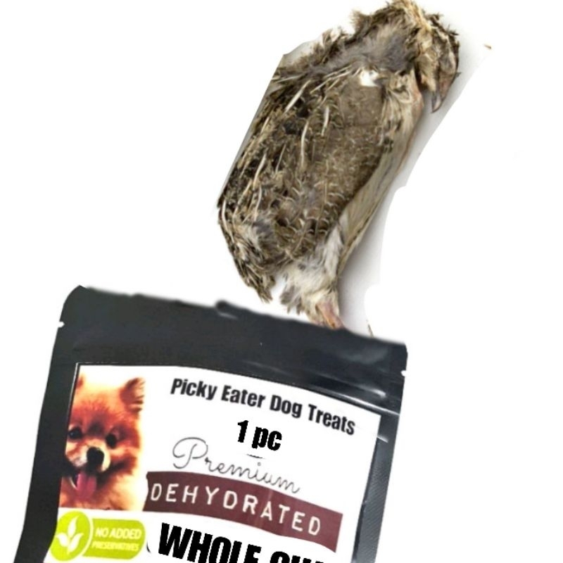 1 whole prey feathered quail for cats and dogs Shopee Philippines