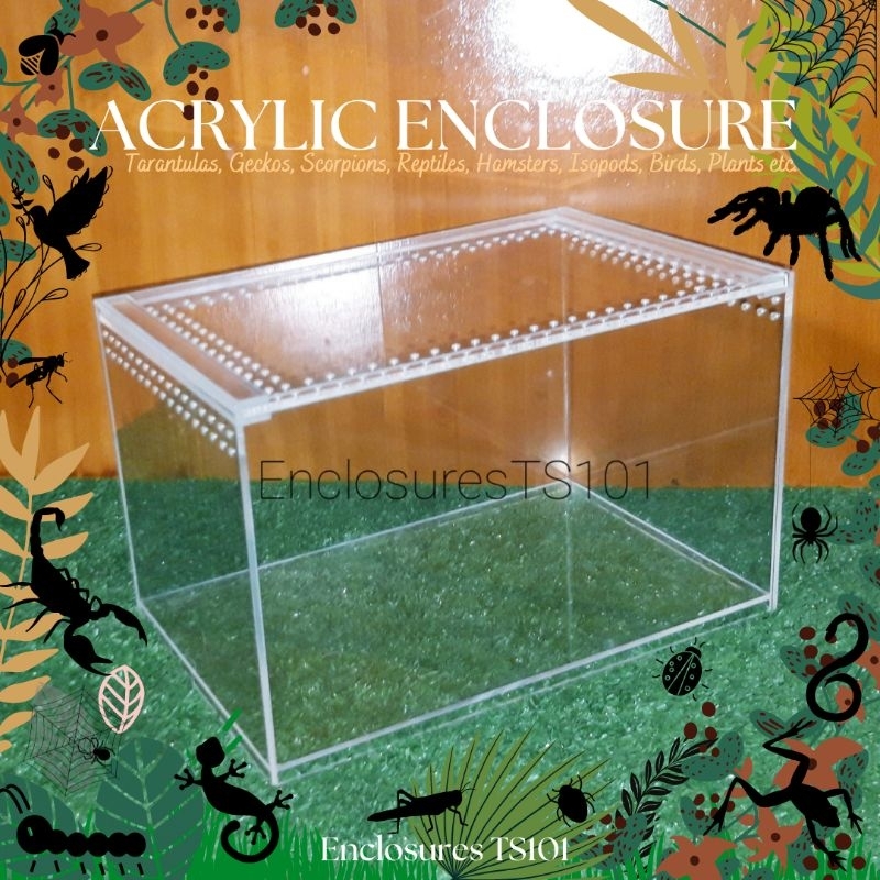 Acrylic Enclosure for Tarantula, Scorpion, Reptiles, Isopods, hamsters ...